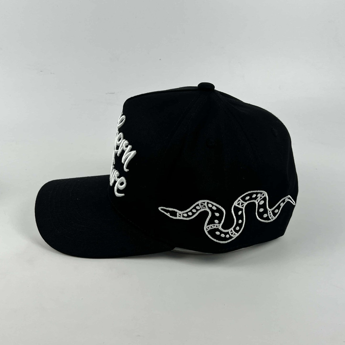 NC Snake Snapback
